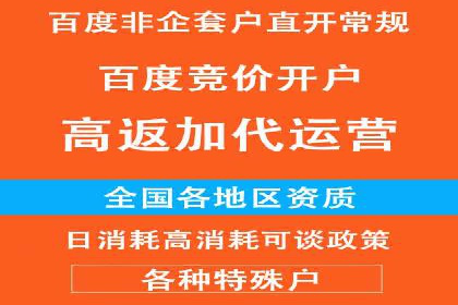 快手平台信息流广告的创意执行与市场反馈
